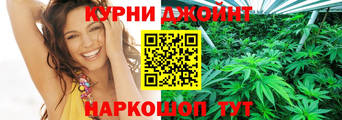Канабис SATIVA & INDICA Павловский Посад